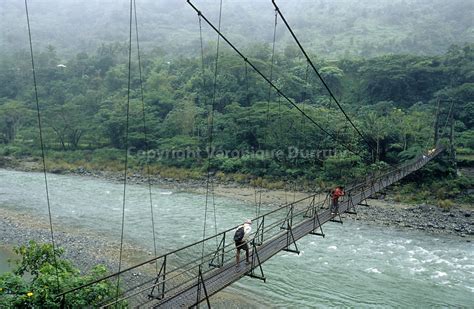 Luzon Hanging Bridge: A Swinging Gateway to Nature and Adrenaline-Pumping Thrills!