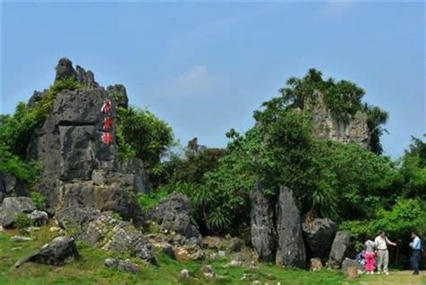 The Thousand-Year Old Stone Forest of Chongzuo: A Majestic Wonderland for the Curious Traveler!