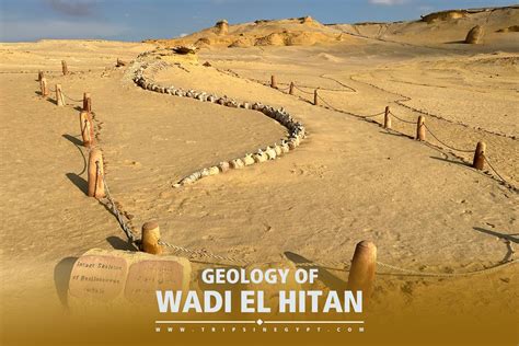 Wadi El-Hitan: Exploring the Valley of Whales and Witnessing Ancient Marine Giants!