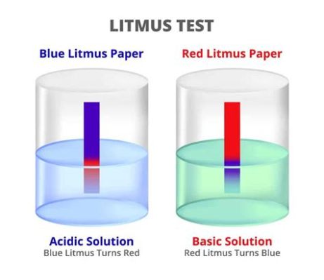 리트머스 종이: 시간을 잠재우는 화학의 마법