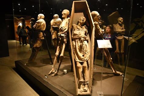 The Museo de las Momias de Guanajuato: Unraveling Centuries of History Through Preserved Corpses!