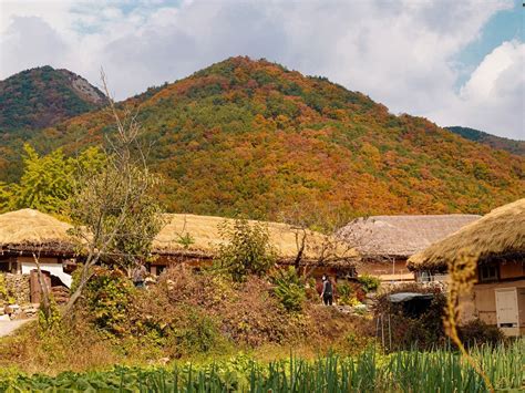 Oeam Folk Village! Journey Back in Time and Experience Authentic Korean Culture