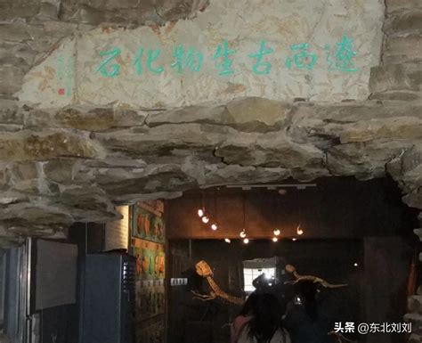 The Jinzhou Museum: Unlocking Centuries of History and Unveiling Cultural Treasures!